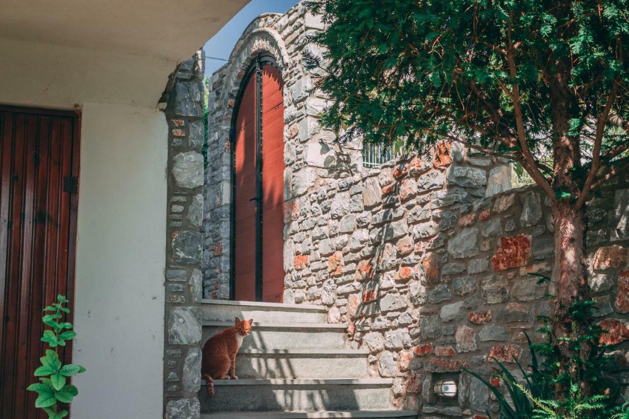 Villa Casa Di Bella Volos Exterior foto