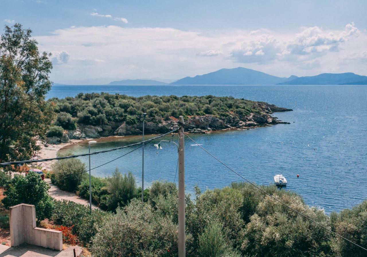 Villa Casa Di Bella Volos Exterior foto